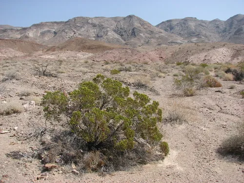 Lower Monarch Canyon – Death Valley National Park