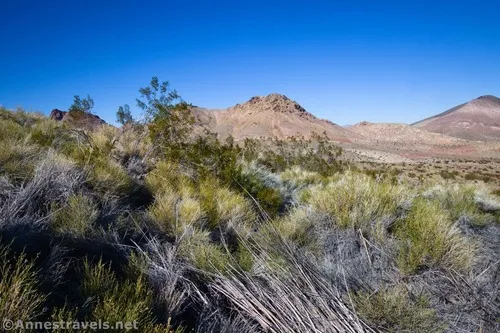 Daylight Spring – Death Valley National Park