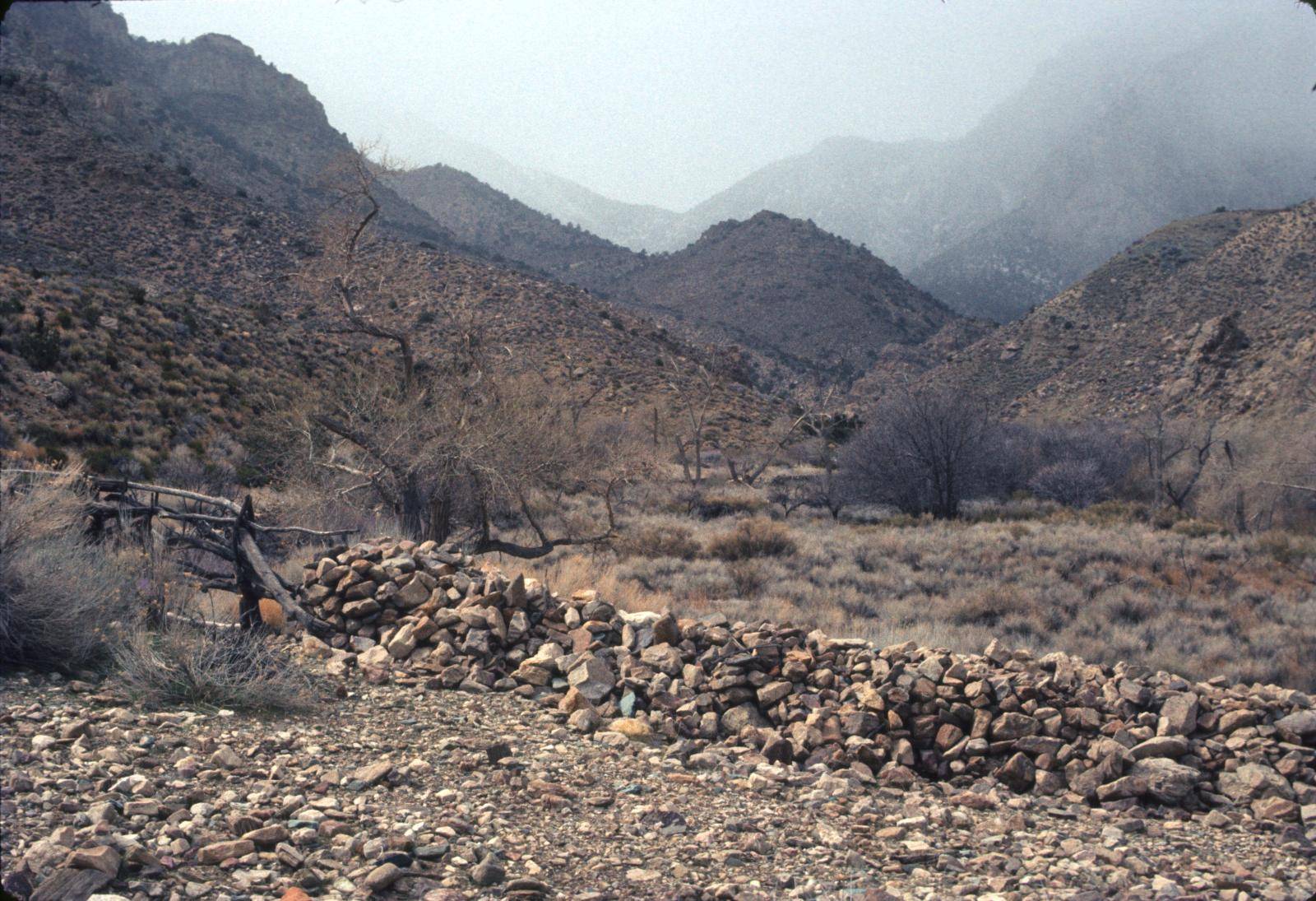 Hungry Bill’s Ranch & Upper Johnson Canyon, Death Valley National Park, California