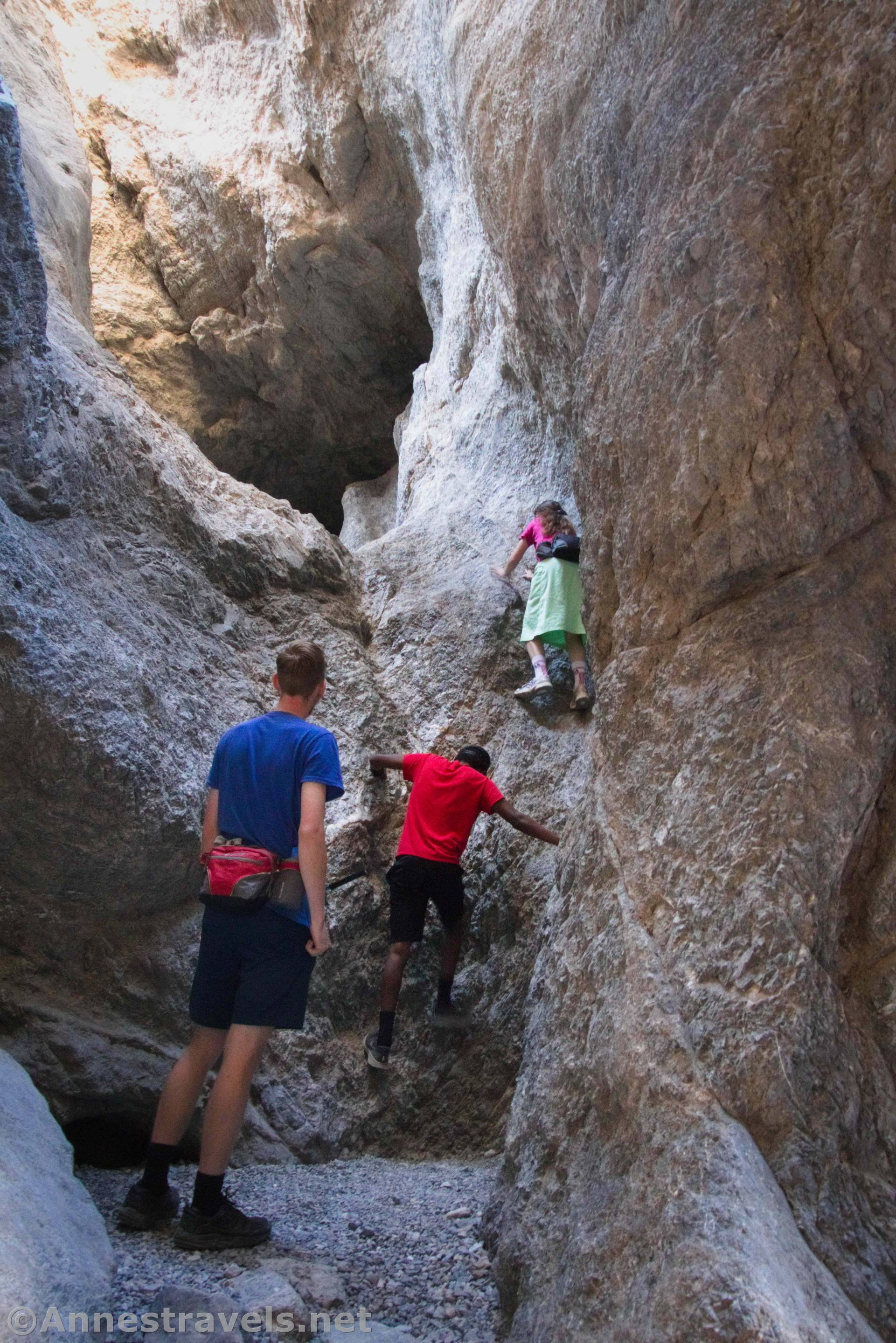 Grotto Canyon, Death Valley National Park, California