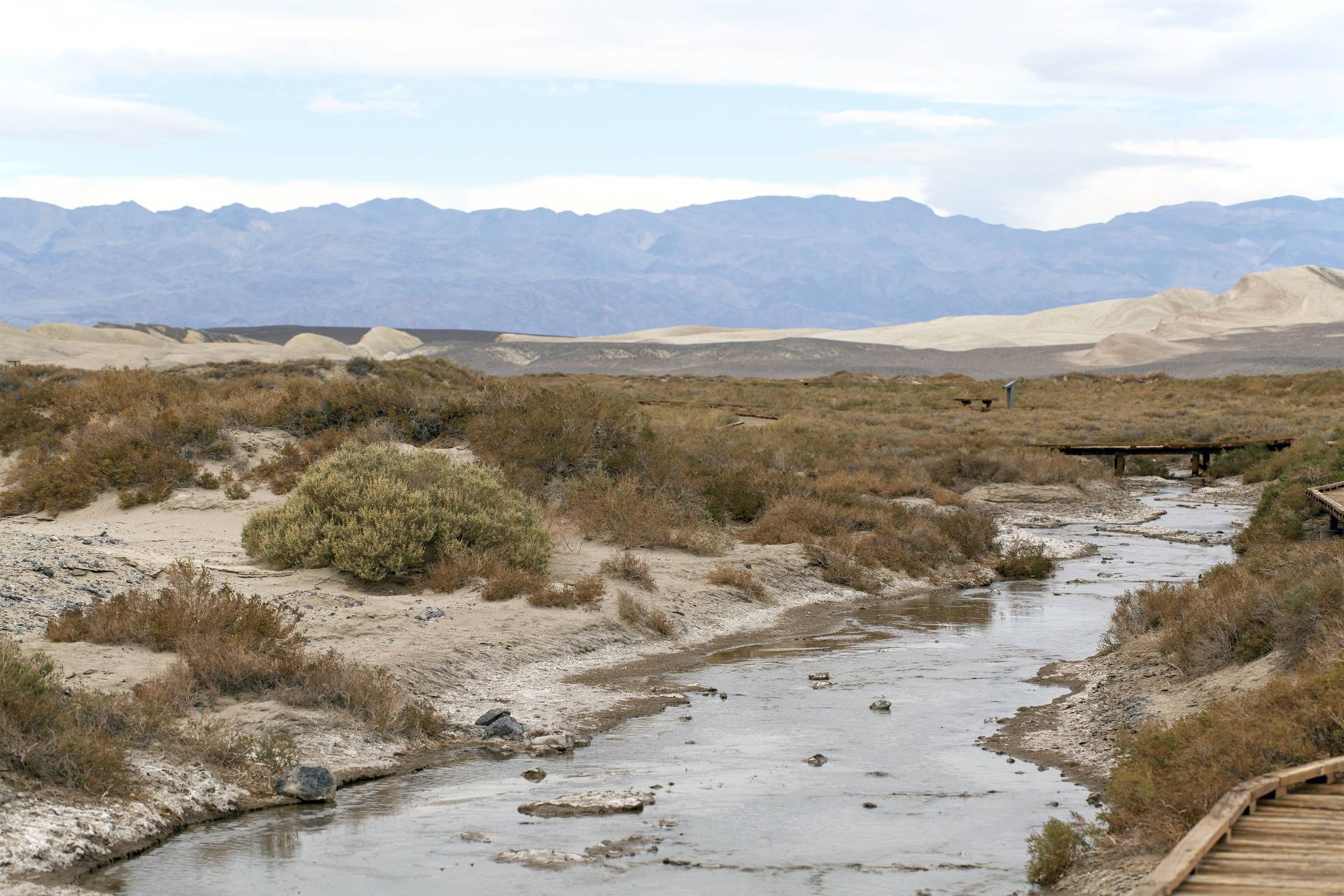 Salt Creek Interpretive Trail, Death Valley National Park, California