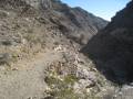 Trail into Upper Monarch Canyon, Death Valley National Park, California