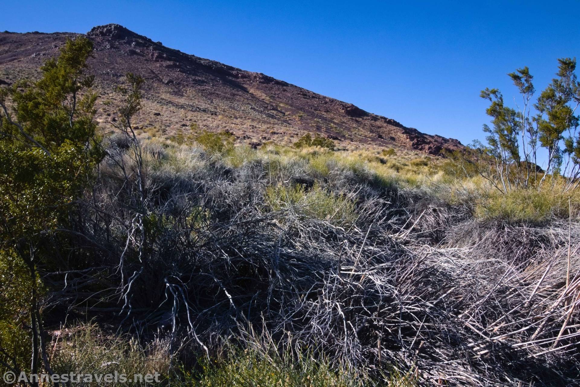 Daylight Spring Route, Death Valley National Park, California