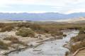 Salt Creek Interpretive Trail, Death Valley National Park, California