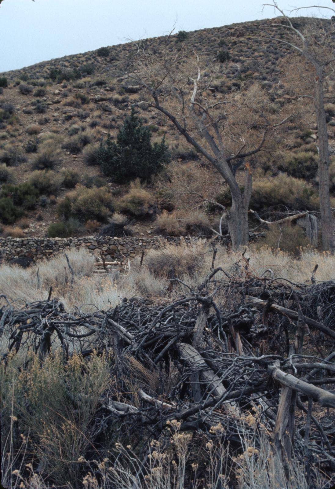 Hungry Bill’s Ranch & Upper Johnson Canyon, Death Valley National Park, California