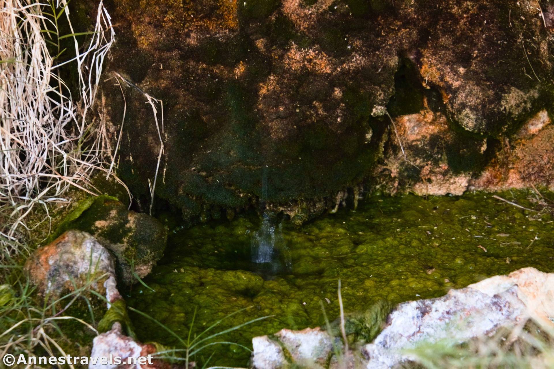 Hole in the Rock Spring Trail, Death Valley National Park, California