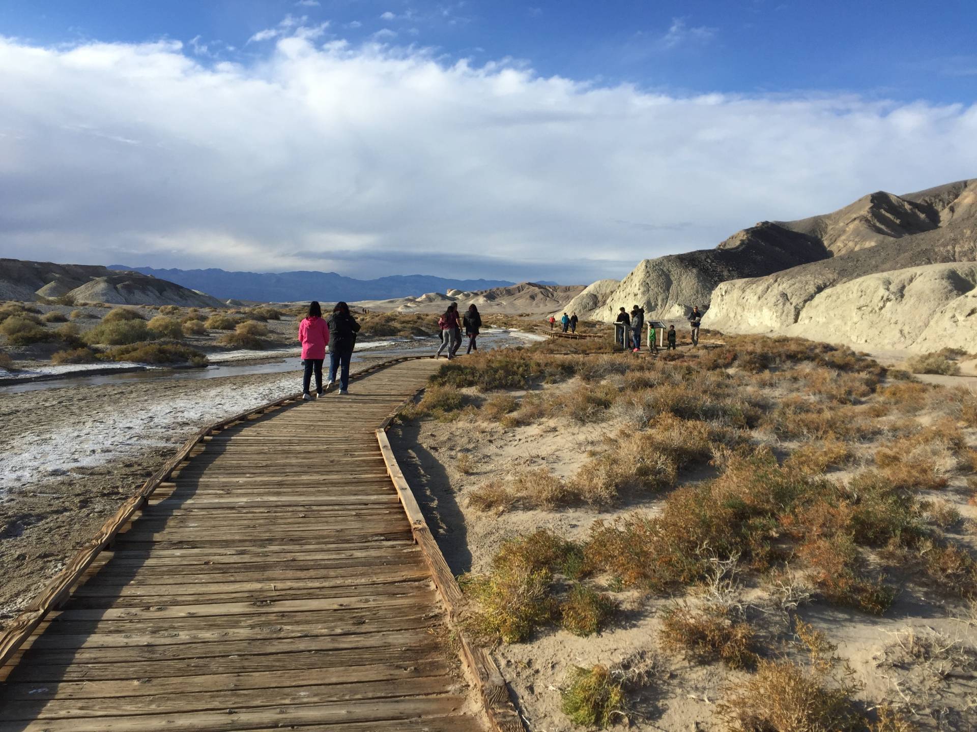 Salt Creek Interpretive Trail, Death Valley National Park, California