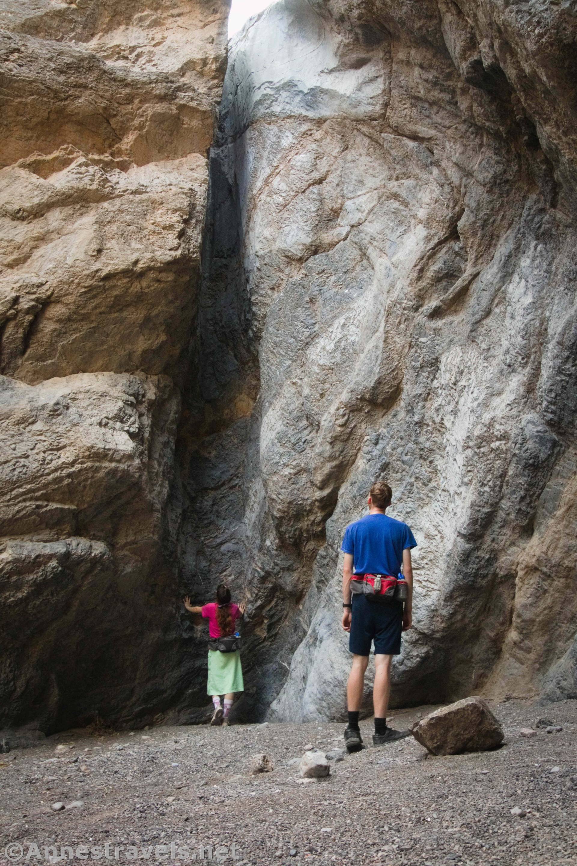 Grotto Canyon, Death Valley National Park, California