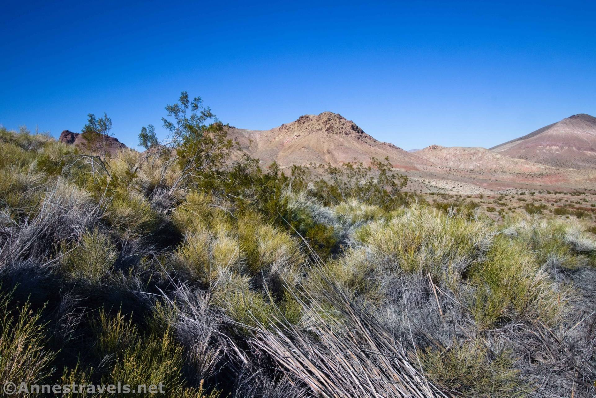 Dayilght Spring, Death Valley National Park, California