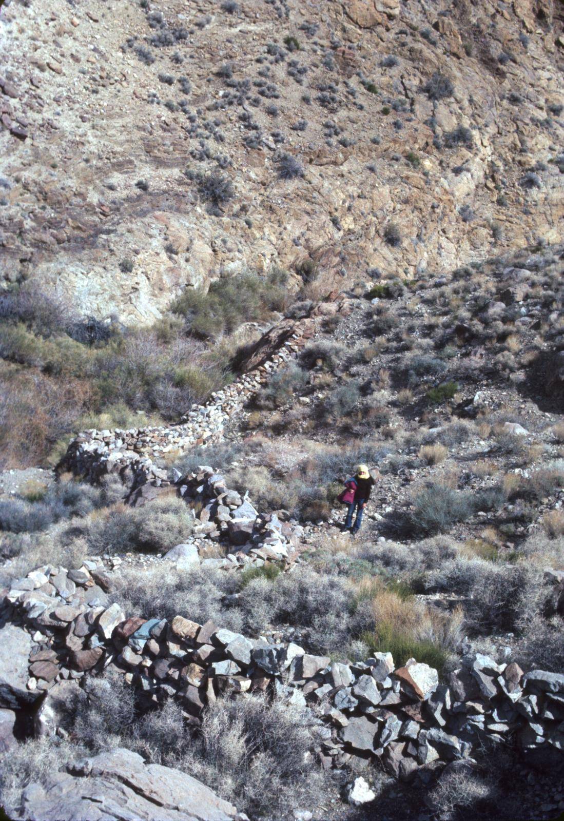 Hungry Bill’s Ranch & Upper Johnson Canyon, Death Valley National Park, California