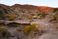 Dryfall by Hole in the Rock Spring Trail, Death Valley National Park, California