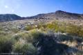 Daylight Spring Route, Death Valley National Park, California