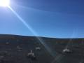 Looking up at the rim of Ubehebe Crater, Death Valley National Park, California