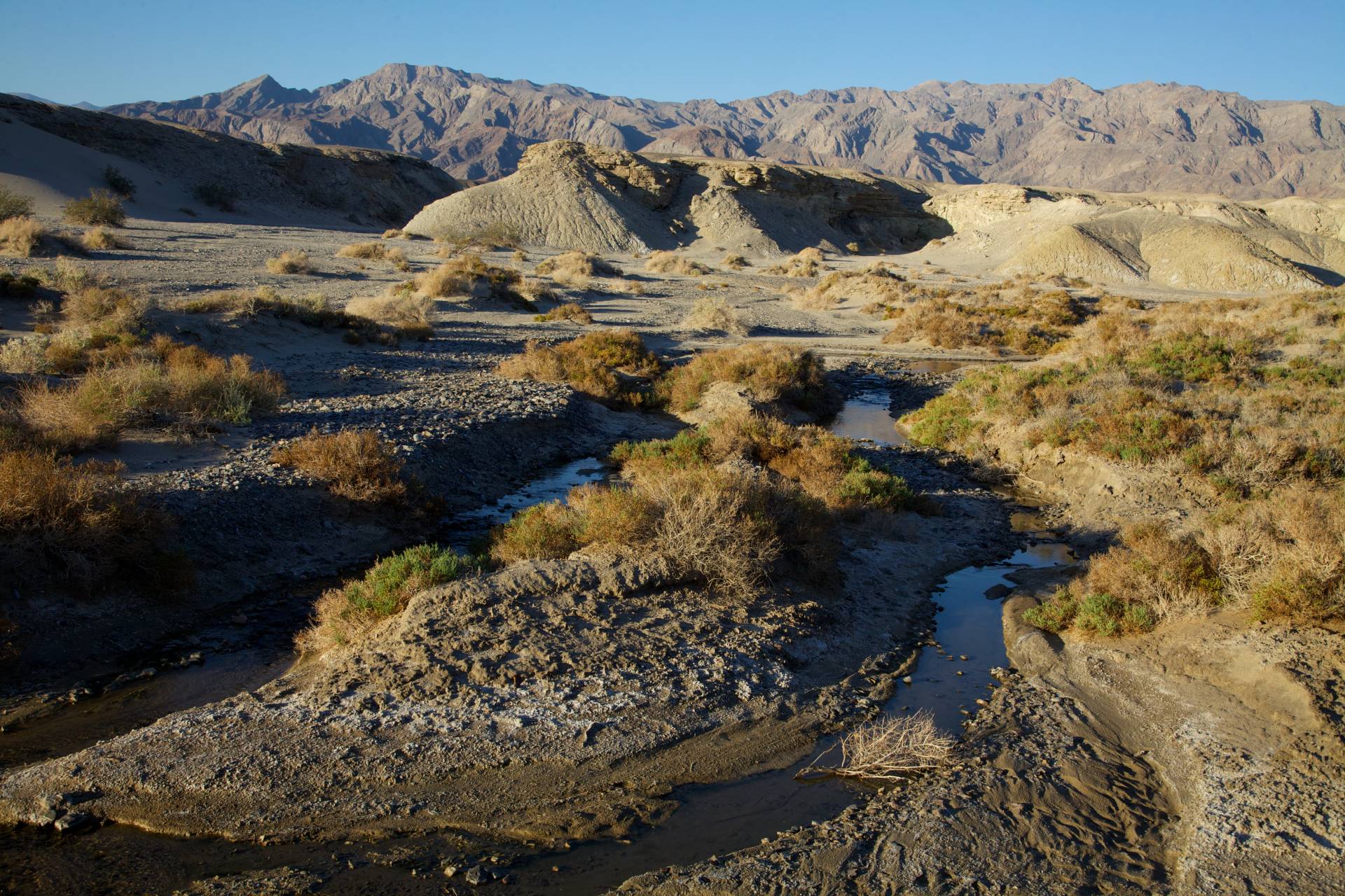 Salt Creek Interpretive Trail, Death Valley National Park, California